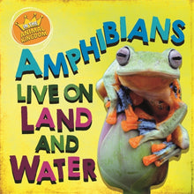 Load image into Gallery viewer, In the Animal Kingdom: Amphibians Live on Land and in Water
