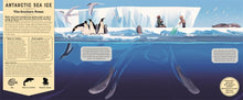 Load image into Gallery viewer, Mysteries of the Ocean
