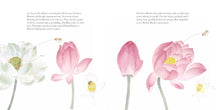 Load image into Gallery viewer, The Water Flower : The Journey of a Lotus Seed
