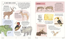 Load image into Gallery viewer, Wild : A Child&#39;s Guide to the Animal Kingdom
