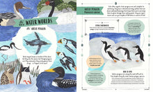 Load image into Gallery viewer, Fly : A Child&#39;s Guide to Birds and Where to Spot Them
