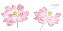 Load image into Gallery viewer, The Water Flower : The Journey of a Lotus Seed
