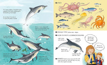 Load image into Gallery viewer, Meet the Whales
