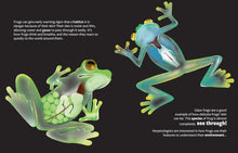 Load image into Gallery viewer, What Can Frogs Tell Us About Our Planet?
