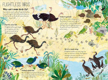 Load image into Gallery viewer, The Big Book of Birds
