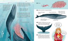 Load image into Gallery viewer, Meet the Whales
