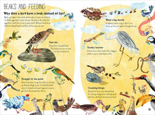 Load image into Gallery viewer, The Big Book of Birds
