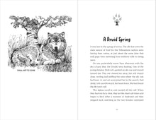 Load image into Gallery viewer, A Time of Legends : The Story of Two Fearless Wolves-and One Rebel
