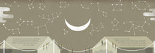 Load image into Gallery viewer, The Swallow Who Stayed

