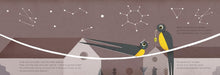 Load image into Gallery viewer, The Swallow Who Stayed

