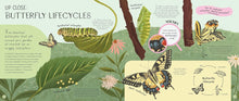 Load image into Gallery viewer, Minibeasts: Under the Magnifying Glass
