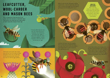 Load image into Gallery viewer, Wild Your World: Bees
