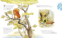 Load image into Gallery viewer, The Tale of Squirrel Nutkin Picture Book
