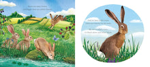 Load image into Gallery viewer, I am Hattie the Hare
