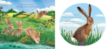 Load image into Gallery viewer, I am Hattie the Hare
