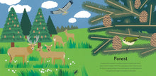 Load image into Gallery viewer, A Moment in Nature : A Treasury for Little Nature Lovers
