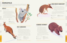 Load image into Gallery viewer, Encyclopedia of Animals : Contains over 275 species!

