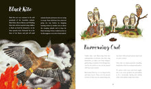 Load image into Gallery viewer, Bright Birds : and their brilliant brains
