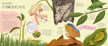 Load image into Gallery viewer, Minibeasts: Under the Magnifying Glass
