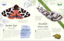Load image into Gallery viewer, An Anthology of Butterflies and Moths
