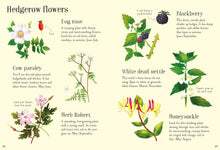 Load image into Gallery viewer, Nature Spotting Guide
