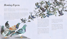 Load image into Gallery viewer, Bright Birds : and their brilliant brains
