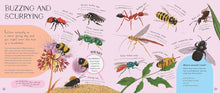 Load image into Gallery viewer, Minibeasts: Under the Magnifying Glass
