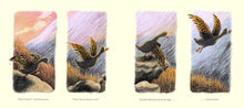 Load image into Gallery viewer, Little Country Cottage: an Autumn Treasury
