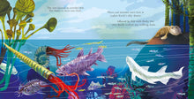 Load image into Gallery viewer, Frog : A Story of Life on Earth
