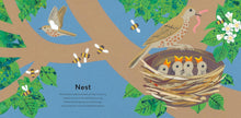 Load image into Gallery viewer, A Moment in Nature : A Treasury for Little Nature Lovers
