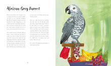Load image into Gallery viewer, Bright Birds : and their brilliant brains

