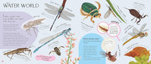 Load image into Gallery viewer, Minibeasts: Under the Magnifying Glass
