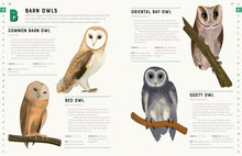 Load image into Gallery viewer, Encyclopedia of Birds
