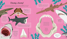 Load image into Gallery viewer, Sharks! Sharks! Sharks! : Sharks are Cool and So is This Book. Fact.
