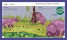 Load image into Gallery viewer, Pygmy Hippo

