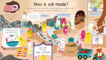 Load image into Gallery viewer, First Questions &amp; Answers: Why do we need worms?
