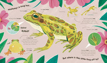 Load image into Gallery viewer, Watch Me Grow: Frogs
