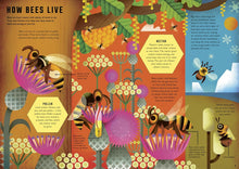 Load image into Gallery viewer, Wild Your World: Bees
