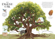Load image into Gallery viewer, The Tree of Life
