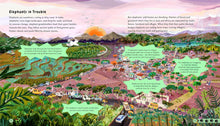 Load image into Gallery viewer, Wildlife Crossings : Protecting Animal Pathways Around the World
