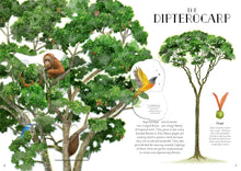 Load image into Gallery viewer, The Tree of Life
