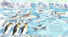 Load image into Gallery viewer, A First Book of the Sea
