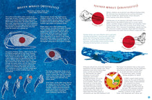 Load image into Gallery viewer, The Whale&#39;s Song :
