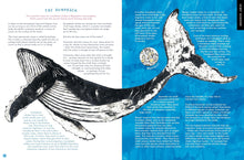 Load image into Gallery viewer, The Whale&#39;s Song :
