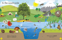 Load image into Gallery viewer, 1000 Useful Words : Build Vocabulary and Literacy Skills
