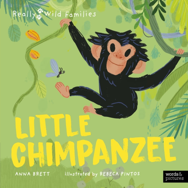 Little Chimpanzee : A Day in the Life of a Baby Chimp