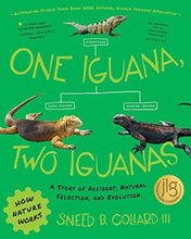 Load image into Gallery viewer, One Iguana, Two Iguanas
