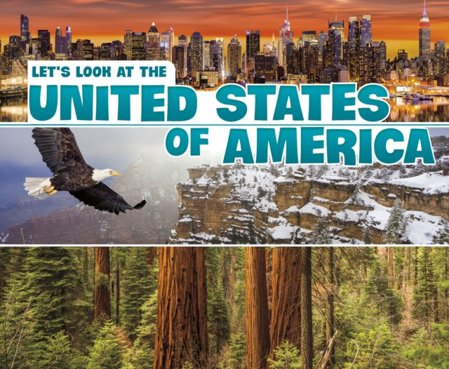 Let's Look at the United States