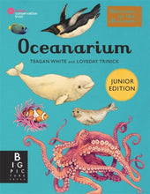 Load image into Gallery viewer, Oceanarium (Junior Edition)
