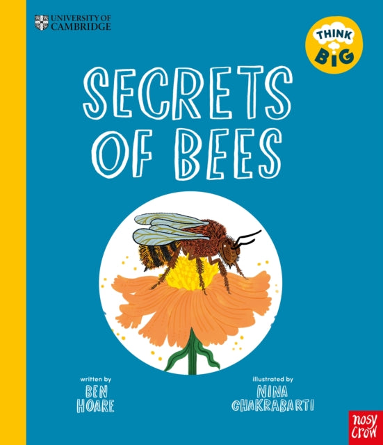 Think Big: Secrets of Bees
